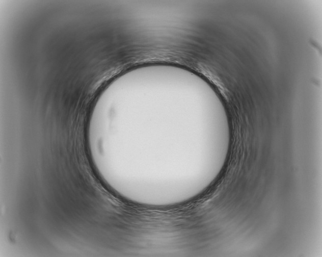 X0000095950681200801110916
