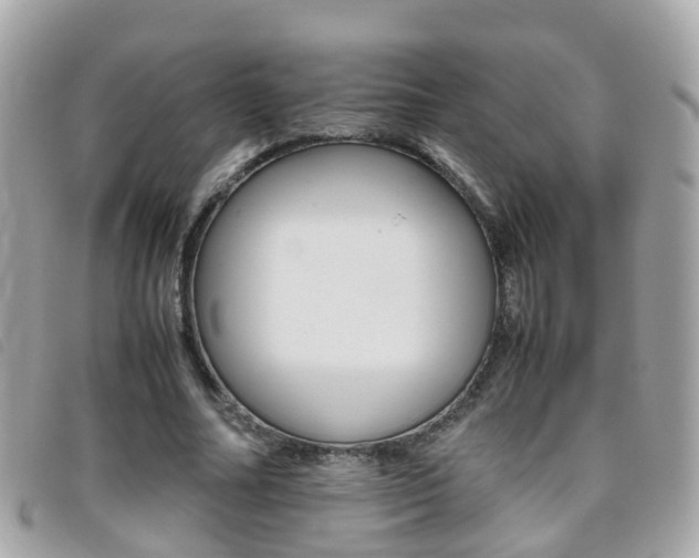 X0000095950682200801110916
