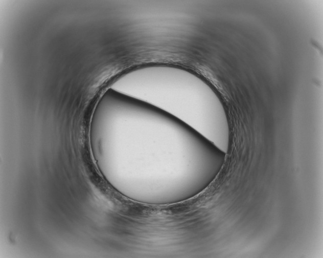 X0000095950683200801110916
