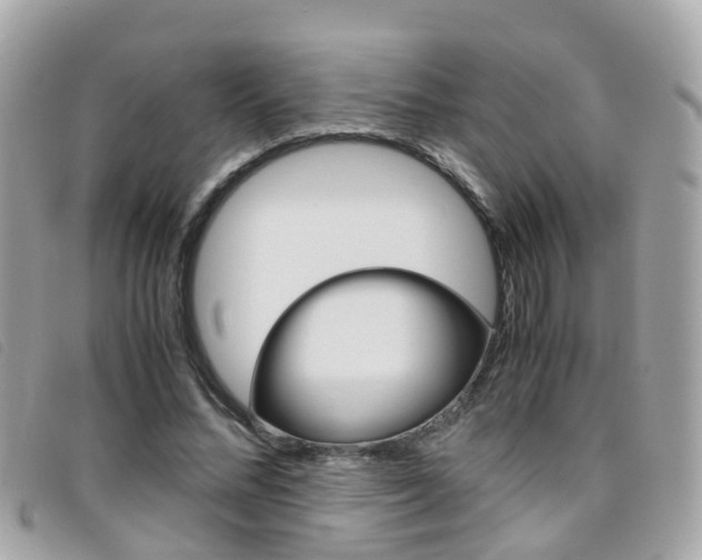 X0000095950684200801110916