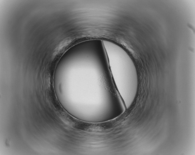 X0000095950685200801110916