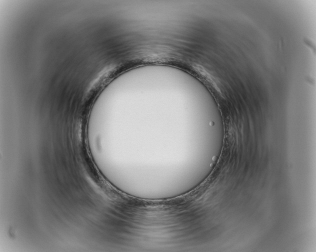 X0000095950686200801110916