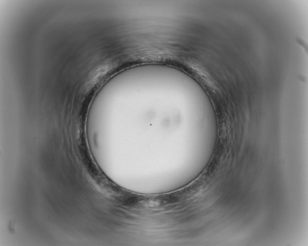X0000095950687200801110916