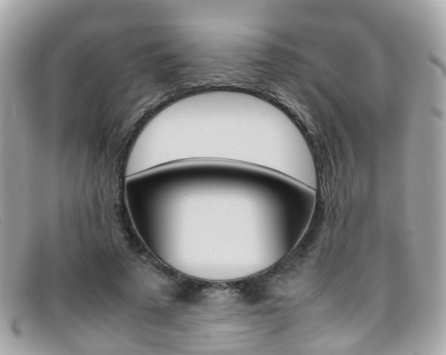 X0000095950689200801110916