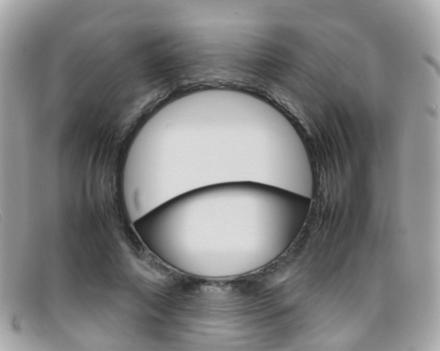 X0000095950690200801110916