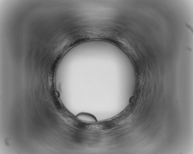 X0000095950691200801110916