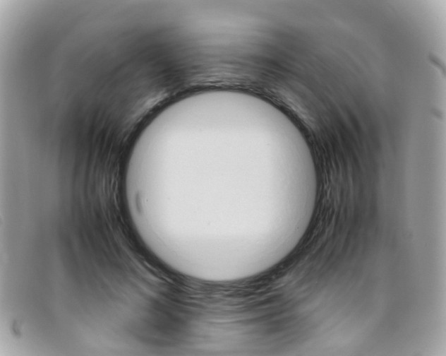 X0000095950692200801110916