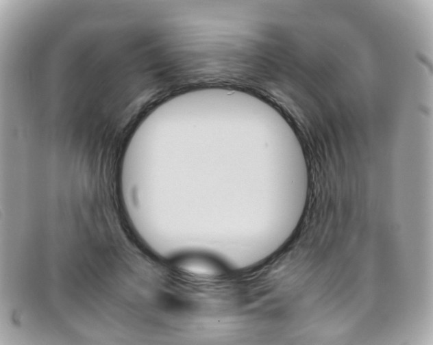 X0000095950693200801110916