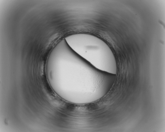 X0000095950694200801110916
