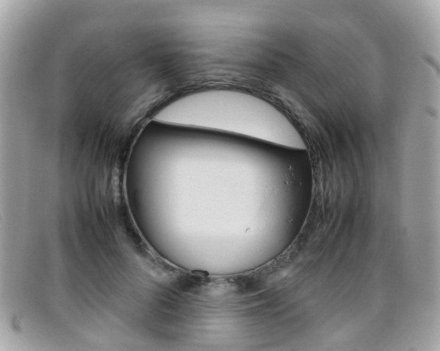 X0000095950696200801110916