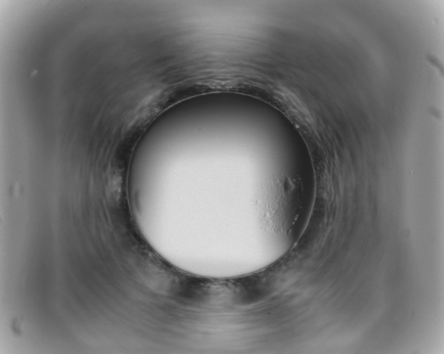 X0000095950697200801110916