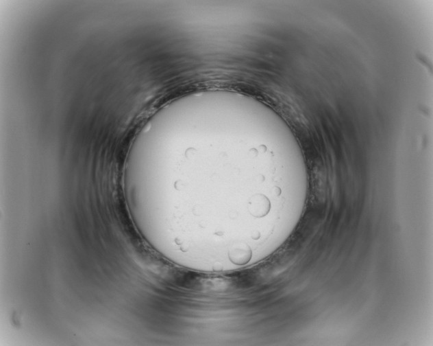 X0000095950698200801110916