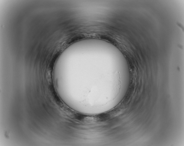 X0000095950699200801110916