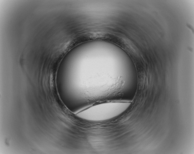 X0000095950700200801110916