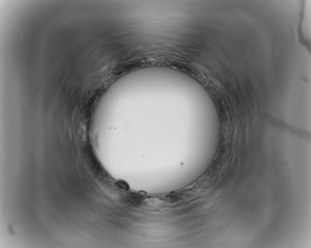 X0000095950703200801110916