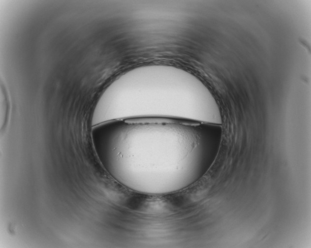 X0000095950704200801110916