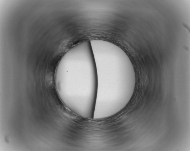 X0000095950706200801110916