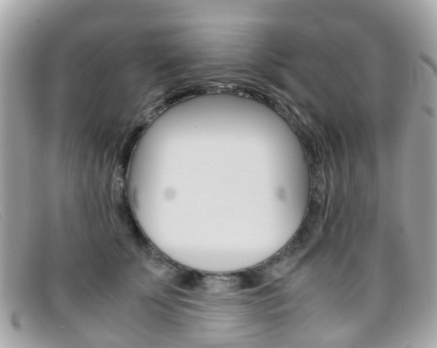 X0000095950707200801110916