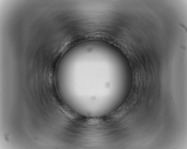 X0000095950708200801110916