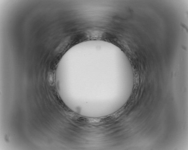 X0000095950709200801110916