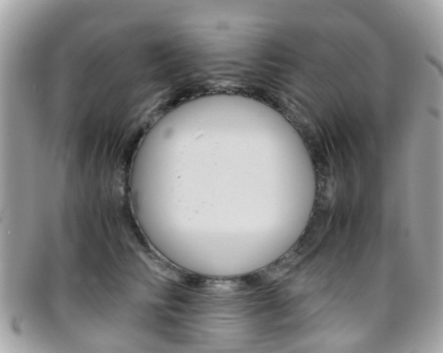 X0000095950710200801110916