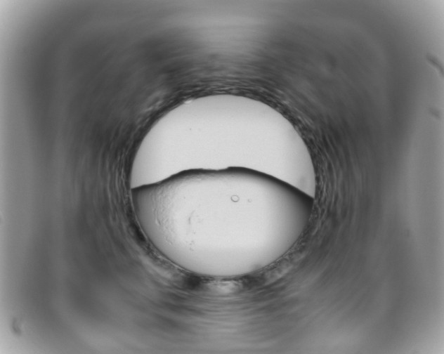 X0000095950711200801110915