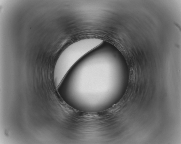 X0000095950712200801110915