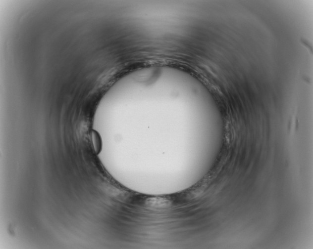 X0000095950714200801110915