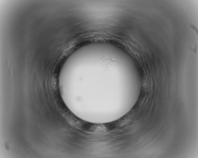 X0000095950715200801110915