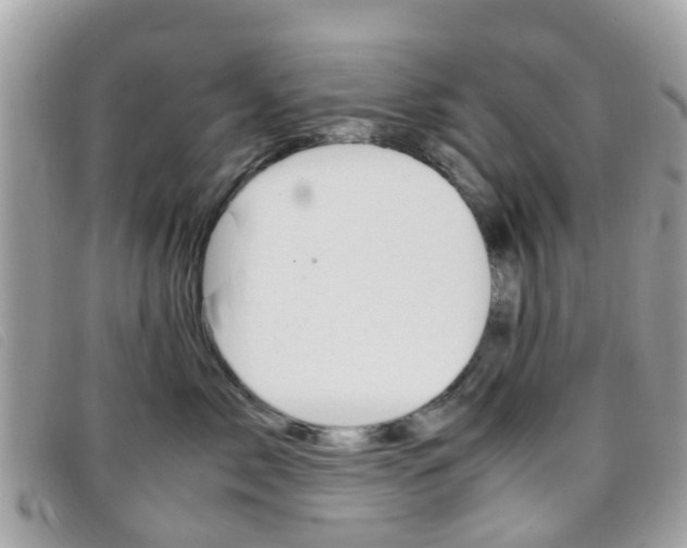 X0000095950717200801110915