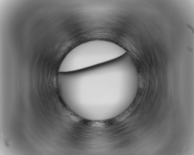 X0000095950718200801110915