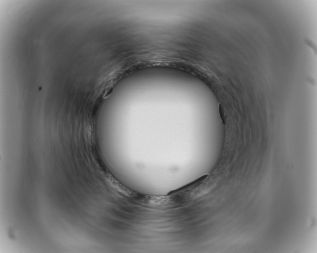 X0000095950720200801110915