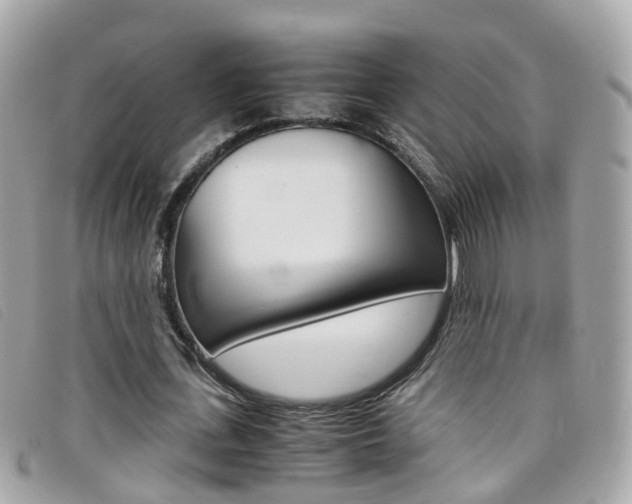 X0000095950723200801110915
