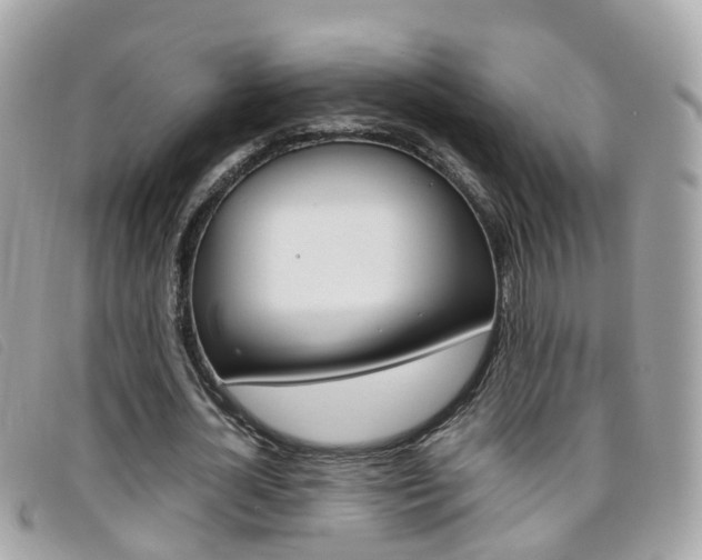 X0000095950724200801110915