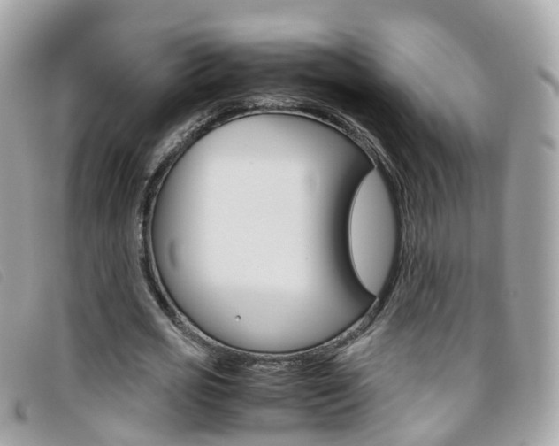 X0000095950725200801110915