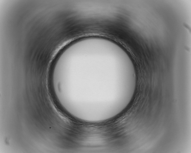 X0000095950728200801110915