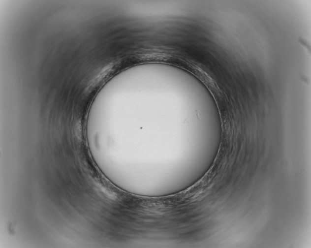 X0000095950729200801110915