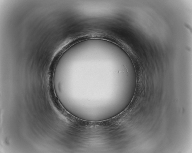 X0000095950730200801110915