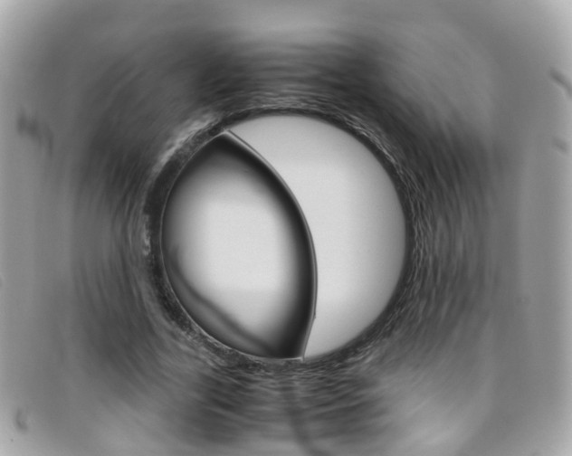 X0000095950731200801110915