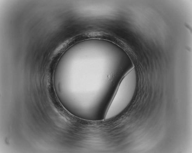 X0000095950732200801110915