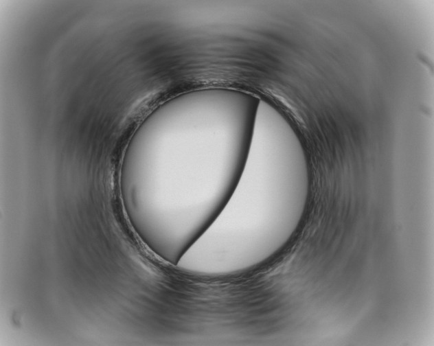X0000095950733200801110915