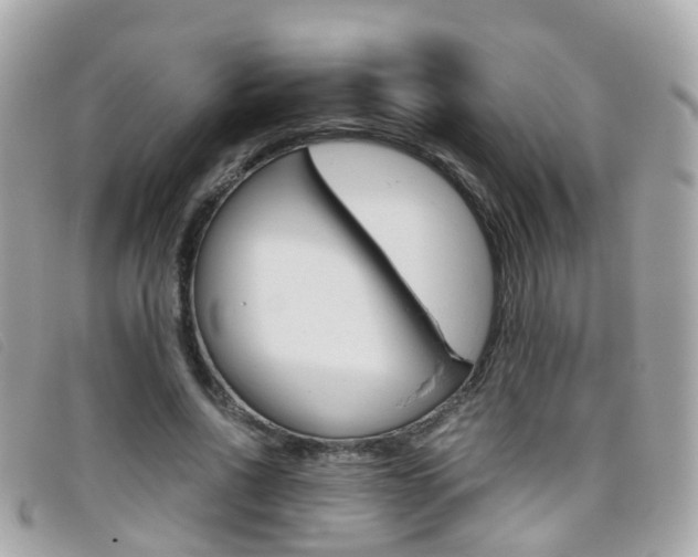 X0000095950734200801110915