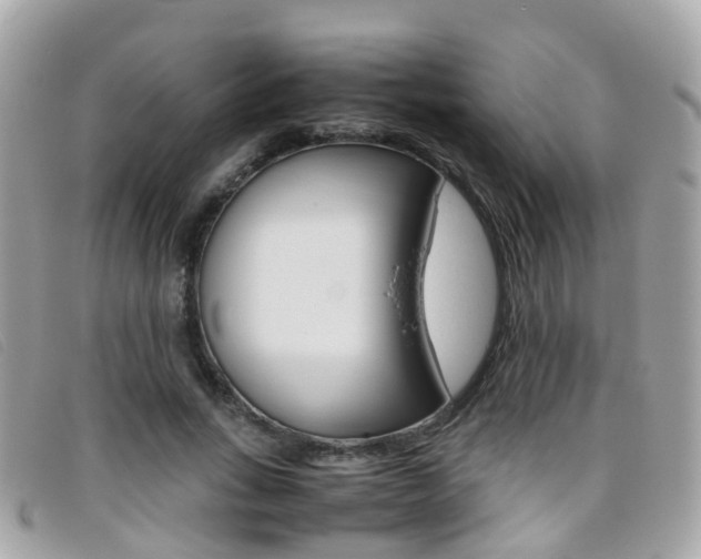 X0000095950735200801110915