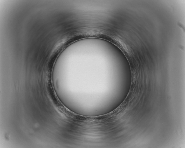 X0000095950736200801110915