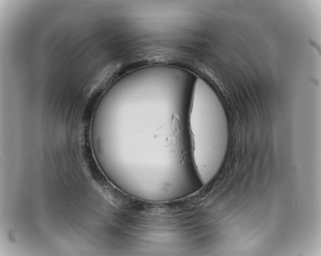 X0000095950738200801110915