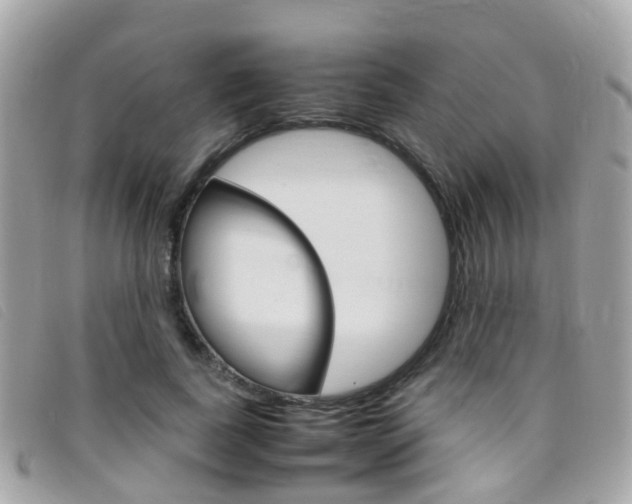 X0000095950739200801110915