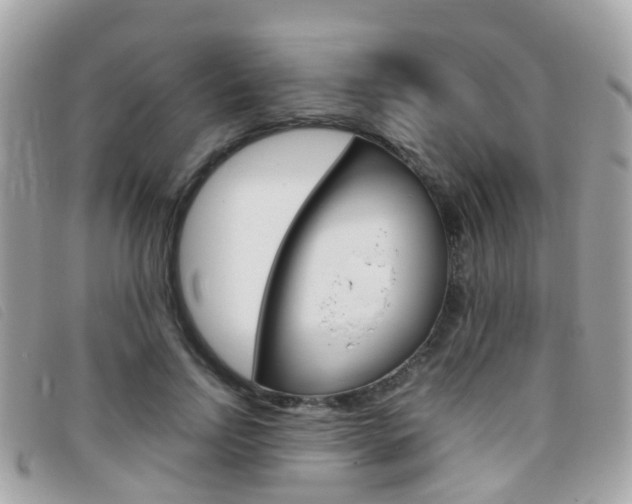 X0000095950742200801110915