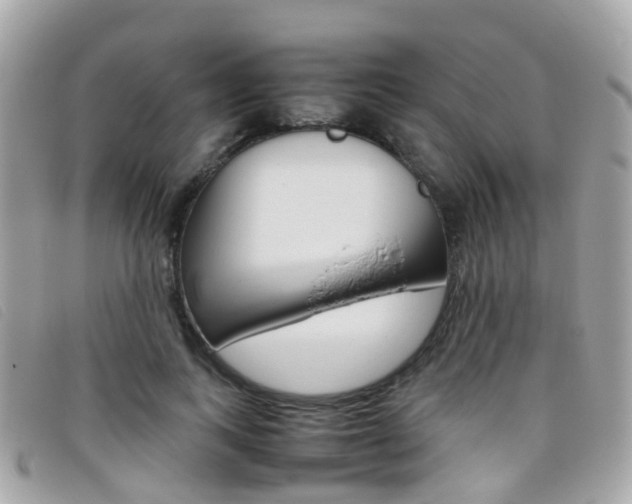 X0000095950743200801110915