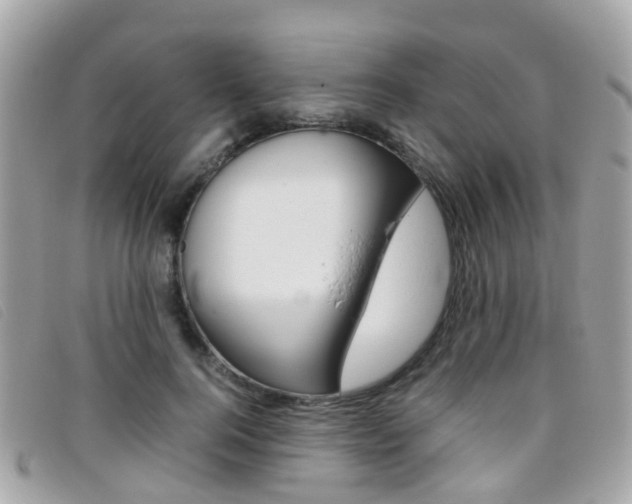 X0000095950744200801110915