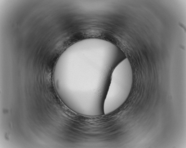 X0000095950745200801110915
